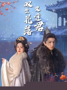 双生花落又逢君